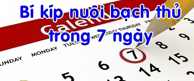 Soi cầu XSMB 5/1/2025 – Dự đoán xổ số miền Bắc hôm nay thứ 4